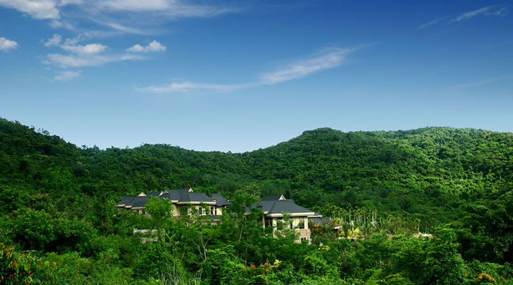 景區旅游規劃設計公司：呀諾達雨林一號度假酒店建筑旅游規劃與熱帶雨林完美融合