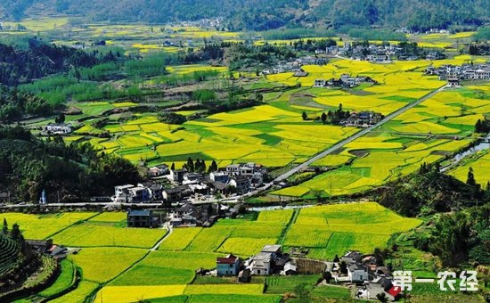 農業部發文促鄉村旅游發展　鼓勵PPP模式